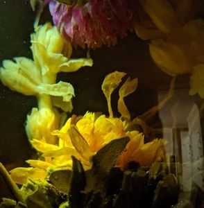 Meet your Posher, Avery north